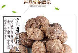 福建特產(chǎn) 富農(nóng)園香菇208g 特級(jí)冬菇中的健康休閑美食