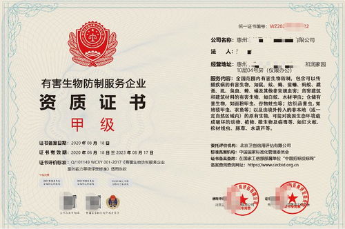 深圳企業(yè)信息技術(shù)咨詢服務(wù) 驅(qū)動數(shù)字化轉(zhuǎn)型的智慧引擎